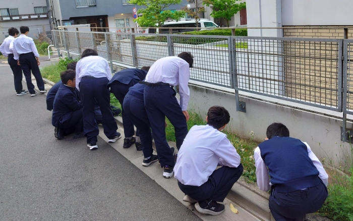 「生態学入門」（中2〜高2対象）でのフィールドワーク