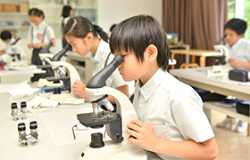 医学部生が使っていた顕微鏡を使って！