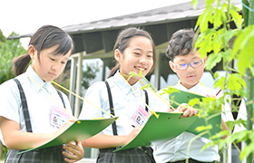 子どもたちは、学校内の自然が大好き！