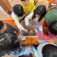 明星（みょうじょう）学園小学校