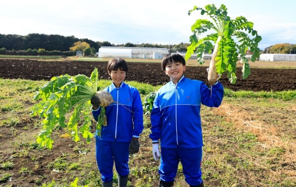 農場実習～大根の収穫～