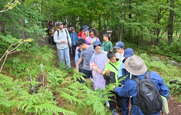 自然体験のサマーキャンプ