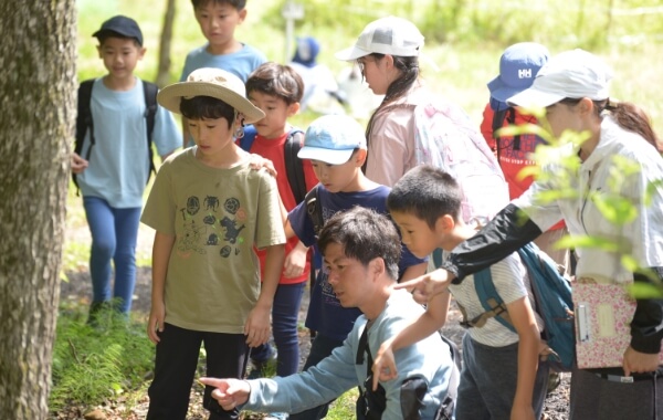 軽井沢「山の学校」での自然探索