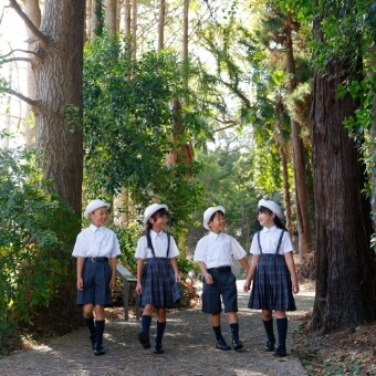 日本大学藤沢小学校