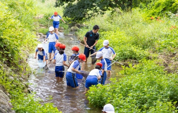 「ゆたか」の時間に鯉川で生き物探し