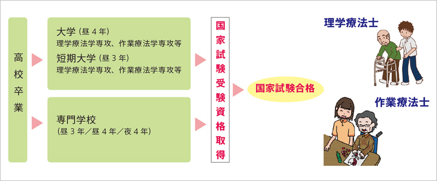 理学療法士・作業療法士 資格取得までのプロセス