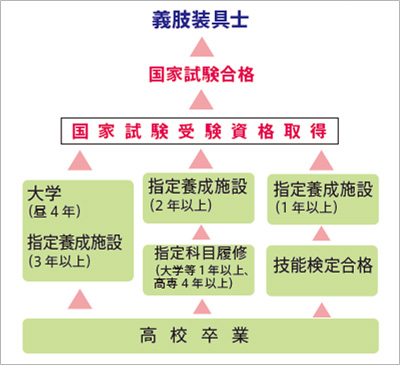 義肢装具士 資格取得までのプロセス
