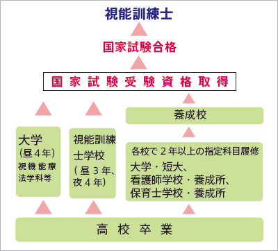 視能訓練士 資格取得までのプロセス