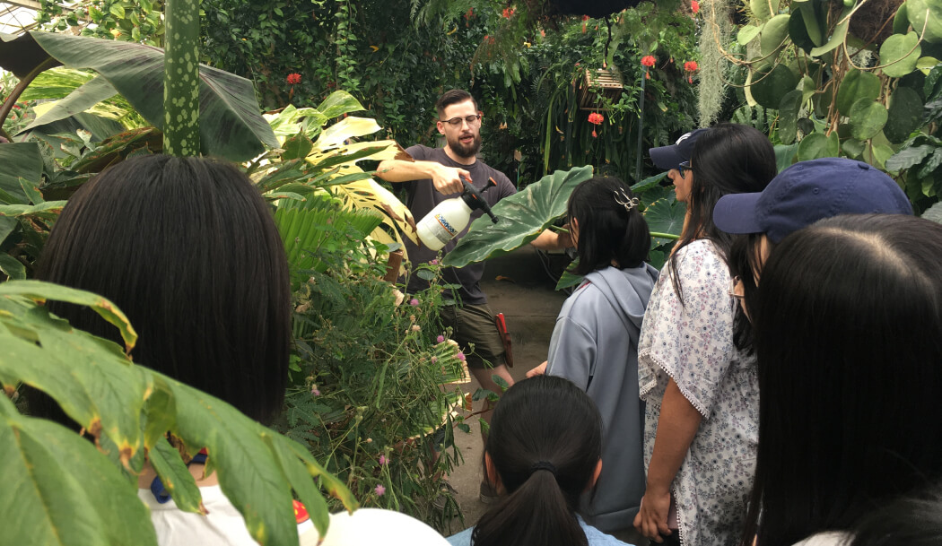 希少な種を育成するキャンパス内の植物園