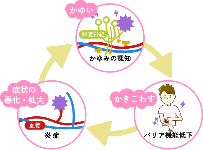 馬場先生からの注意ポイント！