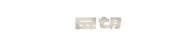 今後の取り組みの展望