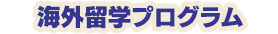 海外留学プログラム