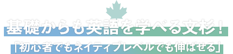 基礎からも英語を学べる文杉！「初心者でもネイティブレベルでも伸ばせる」