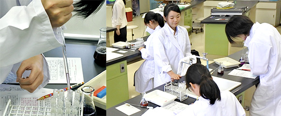 生命探究 ～生命から得る「試薬」～