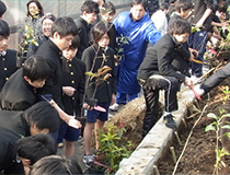 獨協の森（鎮守の杜）