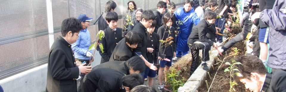 獨協の森(鎮守の杜)