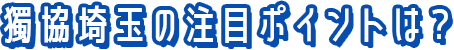 獨協埼玉の注目ポイントは?