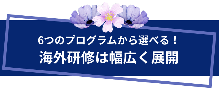 7つのプログラムから選べる！海外留学は地球規模で展開