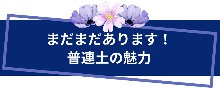 まだまだあります！普連土の魅力