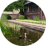 敷地内に点在する多数の池では、エビの希少な在来種が棲んでいるそうです。