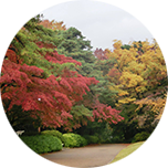 日本の四季を常に実感できる自然に囲まれた環境は、自由学園ならではの魅力です。