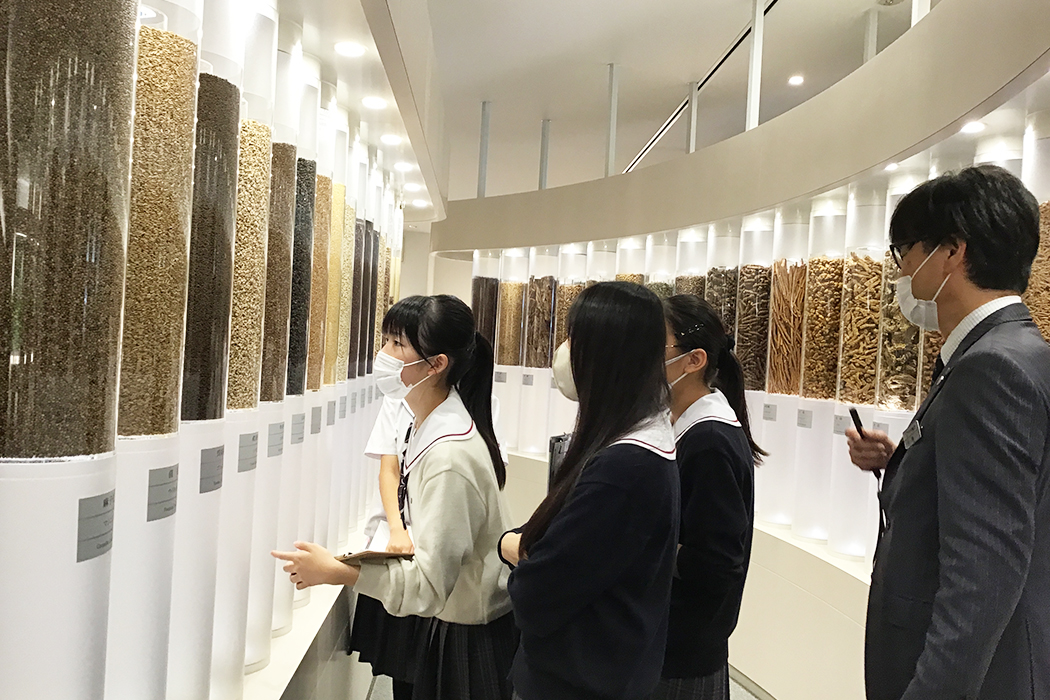 校外で本物に触れる探究学習