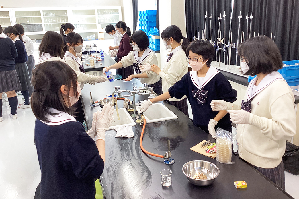 キノコを使った科学プロジェクト