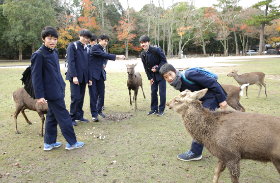 スライダー画像