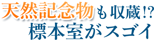 天然記念物も収蔵！？標本室がスゴイ