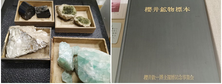 標本室の収蔵品