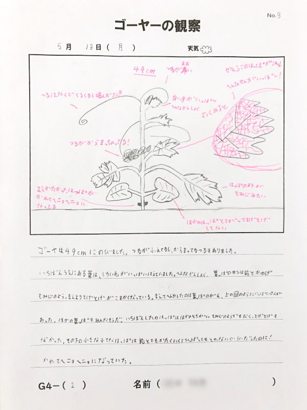 観察記録（日本語）