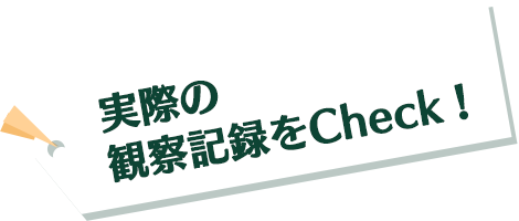 実際の観察記録をCheck！