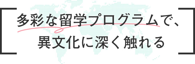 多彩な留学プログラムで、異文化に深く触れる