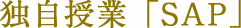 独自授業「SAP」