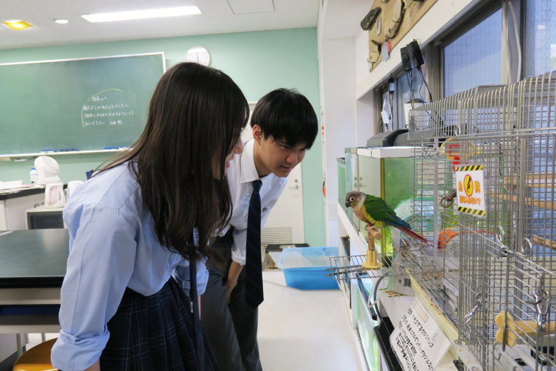 ワキコガネウロコインコのシータに話しかける赤松さんと長門さん。生き物について語るときの笑顔が印象的でした
