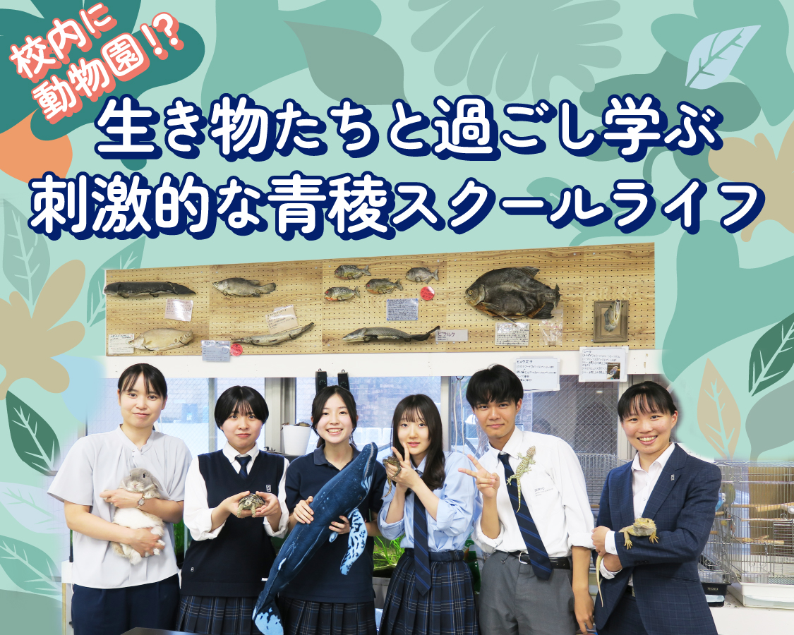 女子小学生　画像掲示板 生き物たちと過ごし学ぶ刺激的な青稜スクールライフ | インターエデュ・ドットコム