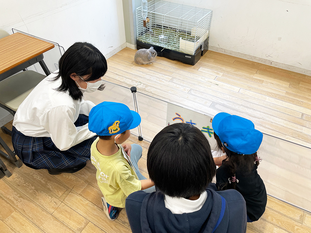 ネズミやウサギなど齧歯類は離れたところで観察するように安全面も配慮