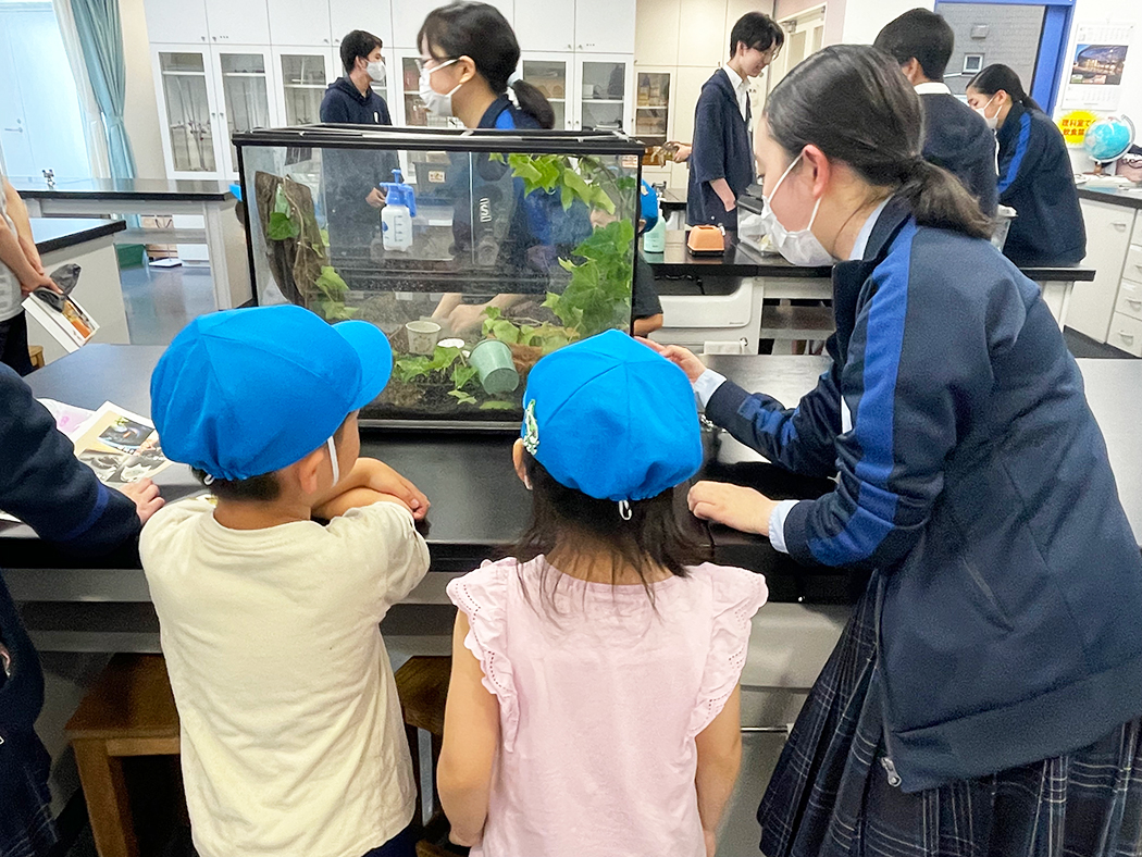 園児二人に案内役の部員1名。回るときは手をつなぐ、目を離さないように気をつけたそう