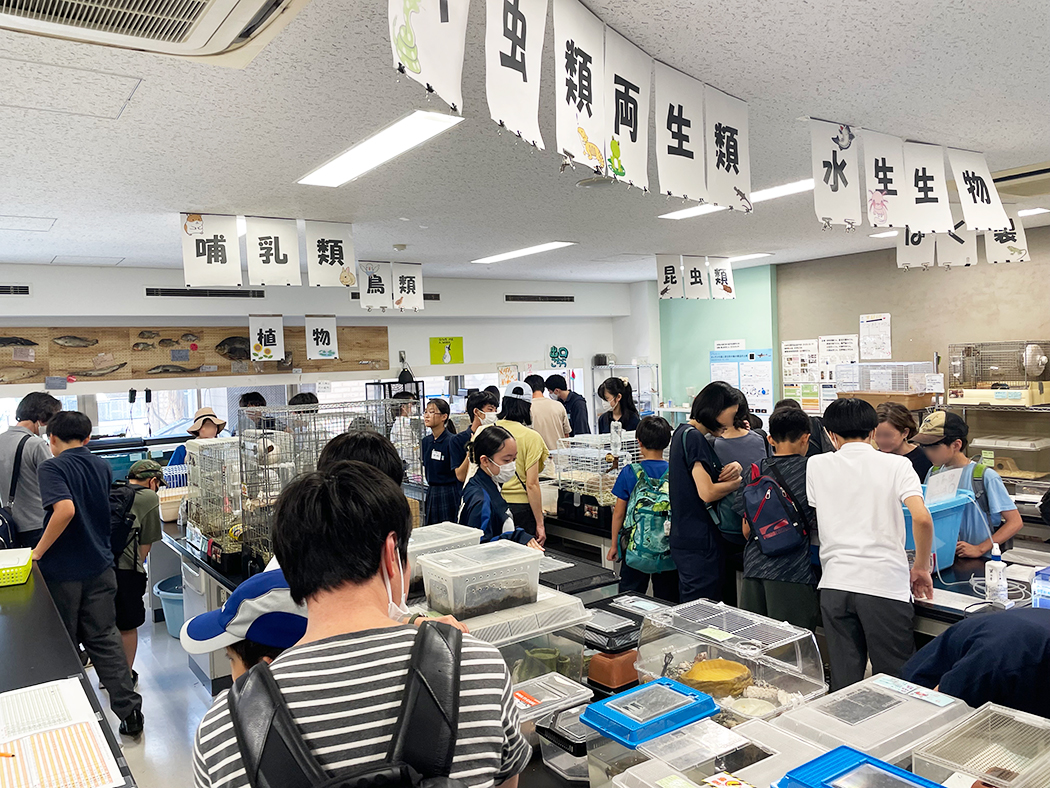 オープンスクールの様子