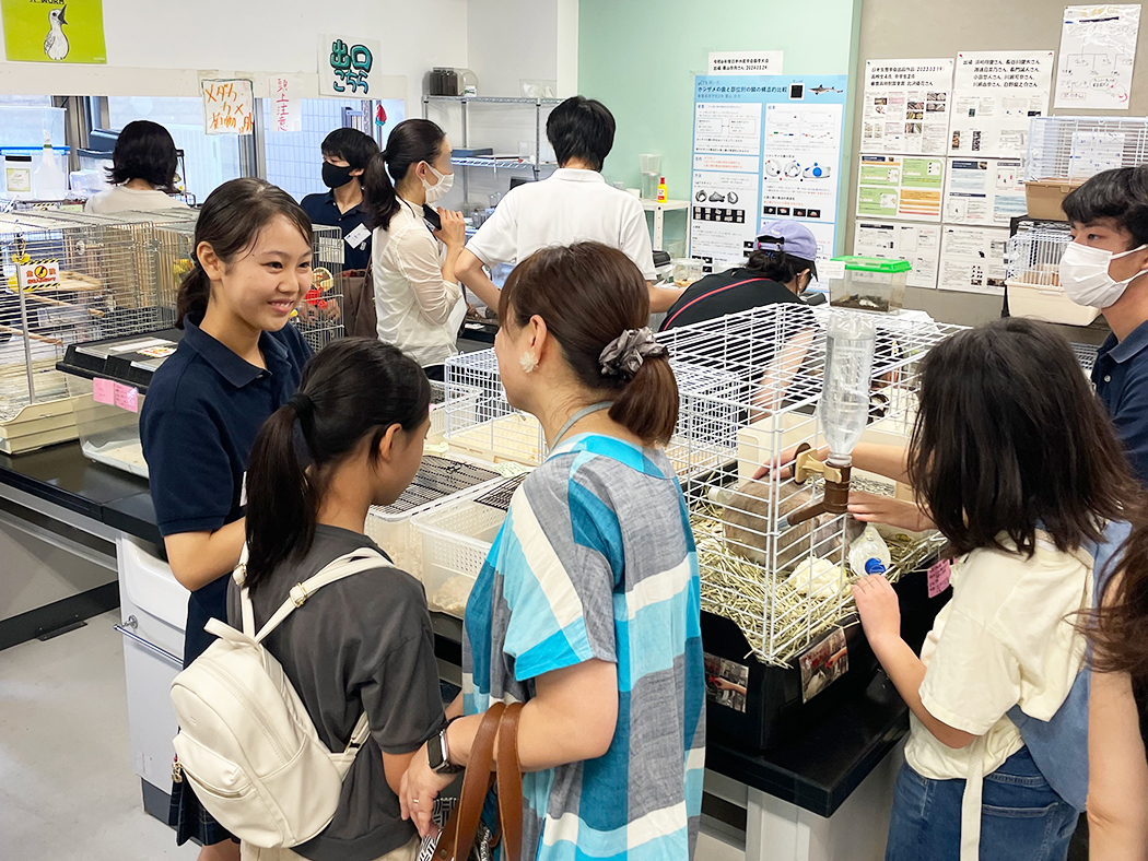 オープンスクールの様子