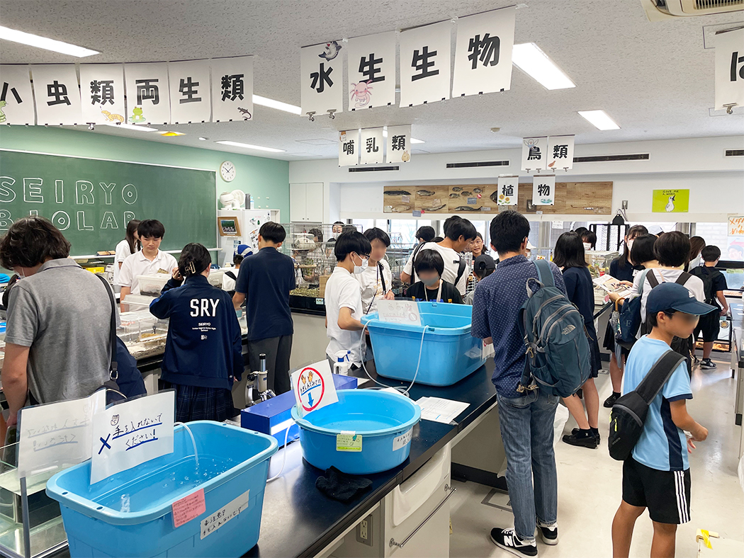 オープンスクールの様子