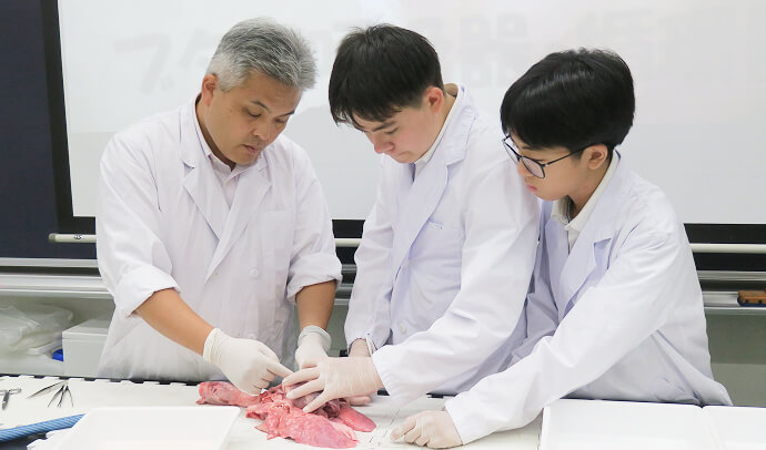 現在、個人ではどのような取り組みを行っていますか。