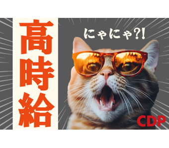 シーデーピージャパン株式会社(埼玉県加須市/加須駅/建築・土木・設備)_1