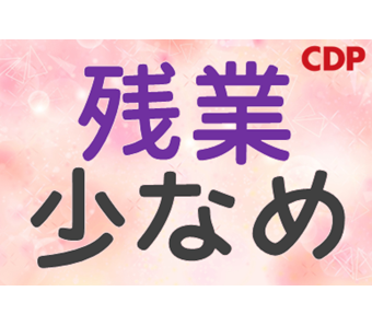 シーデーピージャパン株式会社(群馬県伊勢崎市/伊勢崎駅/建築・土木・設備)_1