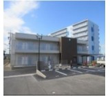 1100950001 27094960 path1