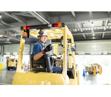 1105700001 27771353 path1