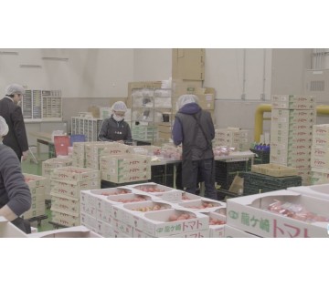 1112520001 27217612 path2