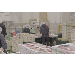 有限会社三秀(東京都大田区/大森駅/建築・土木・設備)_1