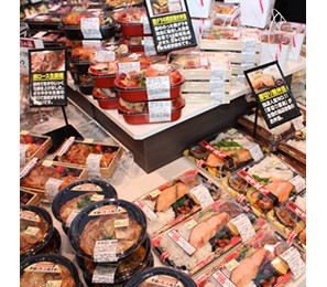 1131210001 27484982 path2