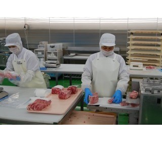 1133220002 28010495 path2